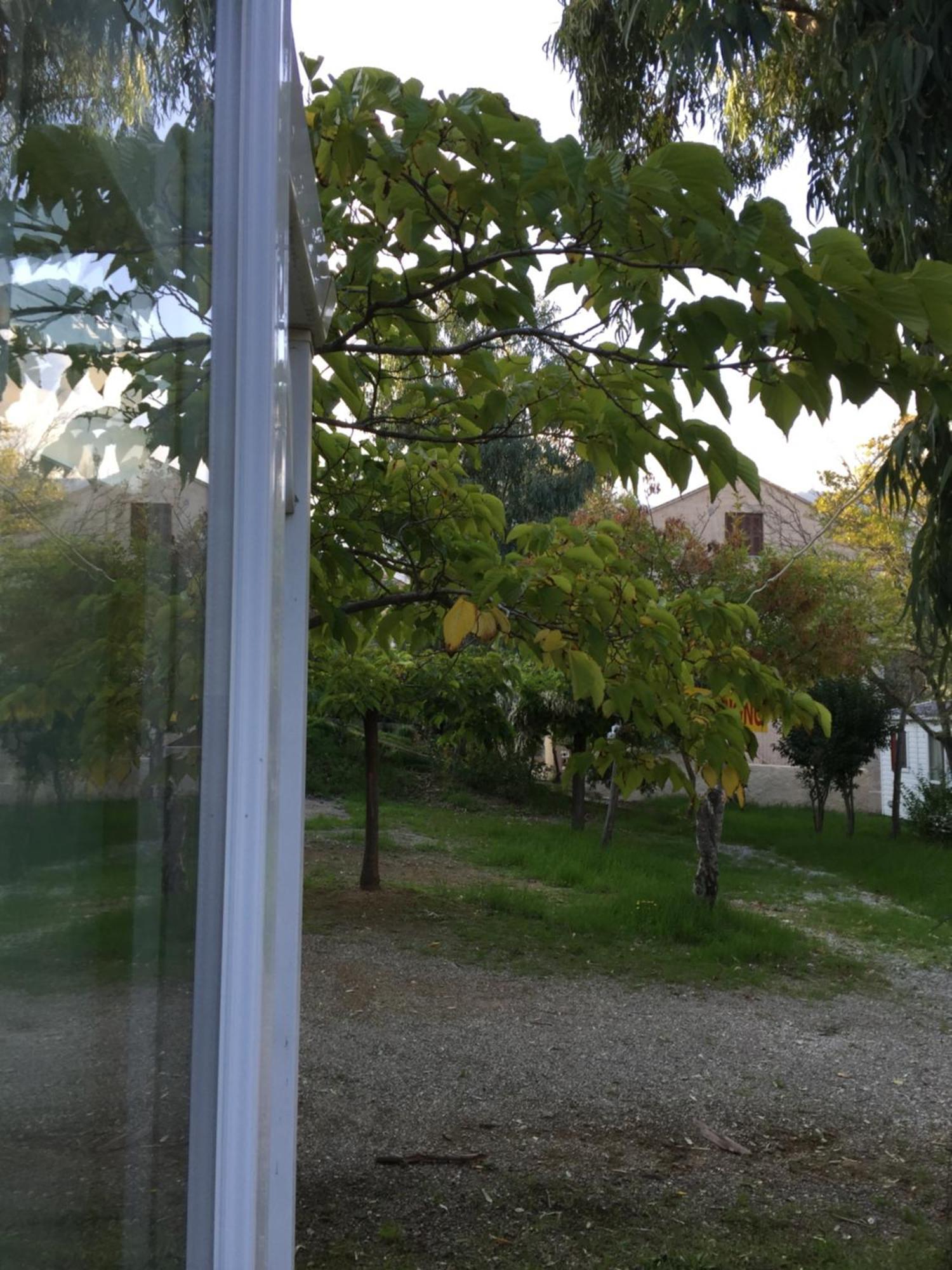Camping Les Orangers San-Martino-di-Lota 객실 사진